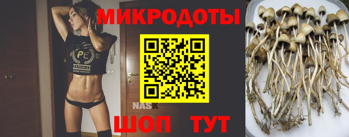 Псилоцибиновые грибы мухоморы  Галлюциногенные грибы Psilocybe  Вход с VPN  Дзержинский 